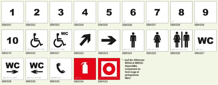 Signabraille picto standard